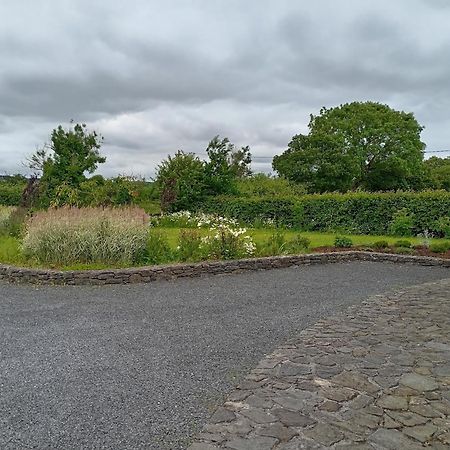 Conveniently Located House To Enjoy All Of Kerry Tralee Kültér fotó