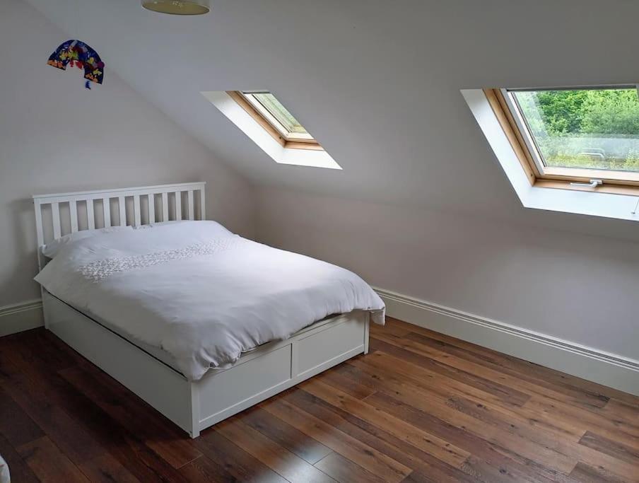 Conveniently Located House To Enjoy All Of Kerry Tralee Kültér fotó
