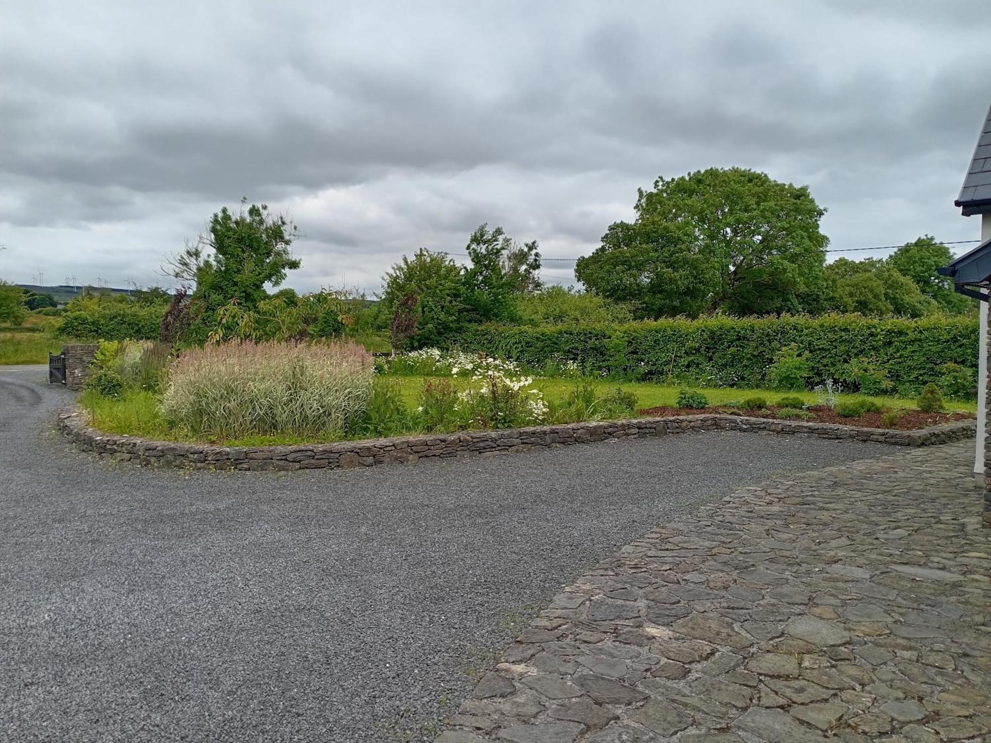 Conveniently Located House To Enjoy All Of Kerry Tralee Kültér fotó